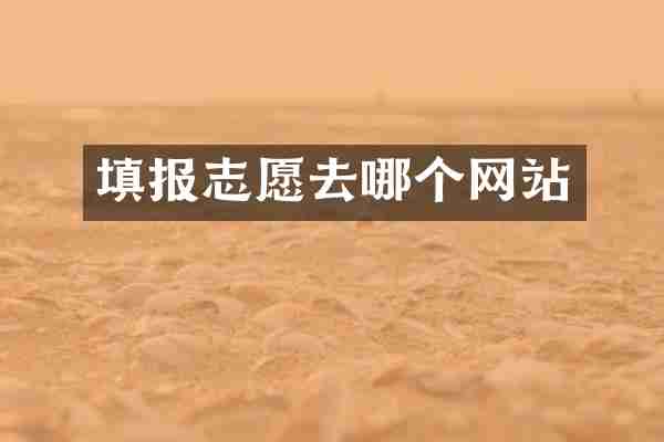 填报志愿去哪个网站
