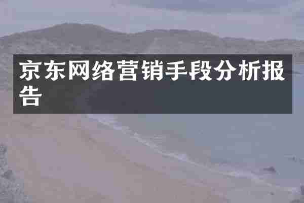 京东网络营销手段分析报告