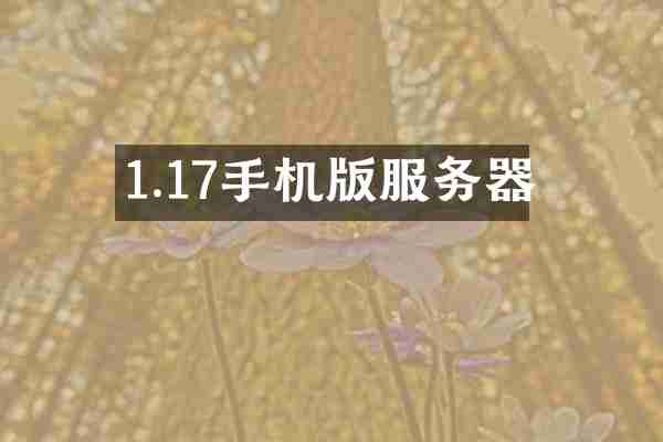 1.17手机版服务器