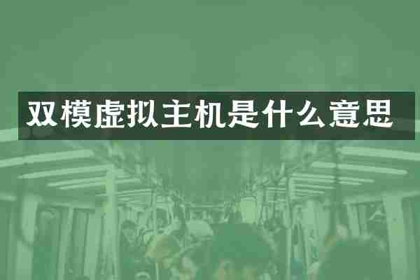 双模虚拟主机是什么意思