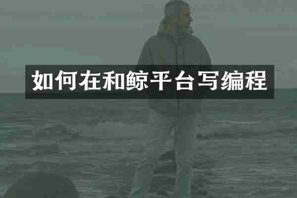 如何在和鲸平台写编程