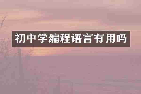 初中学编程语言有用吗