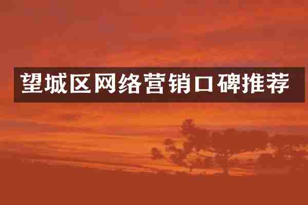 望城区网络营销口碑推荐
