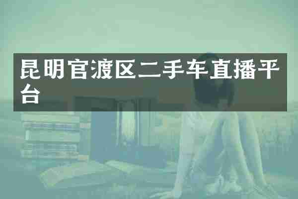 昆明官渡区二手车直播平台