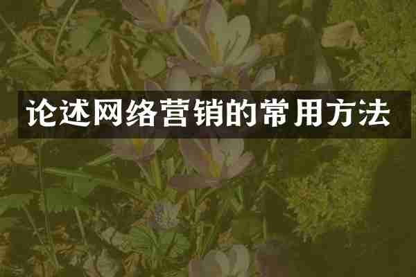论述网络营销的常用方法