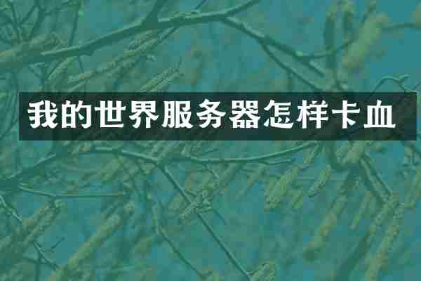 我的世界服务器怎样卡血