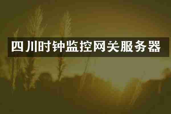 四川时钟监控网关服务器