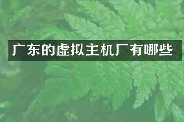 广东的虚拟主机厂有哪些