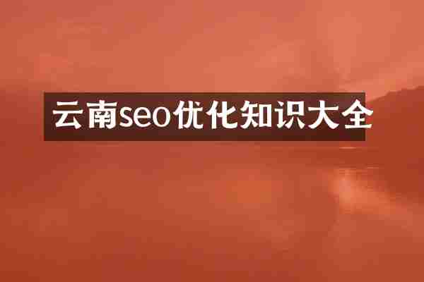 云南seo优化知识大全
