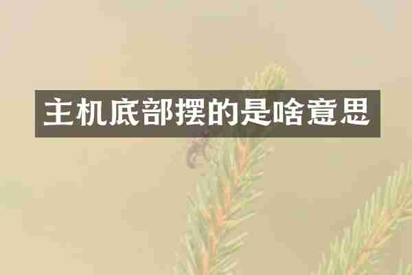 主机底部摆的是啥意思