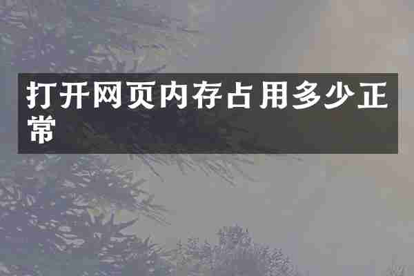 打开网页内存占用多少正常