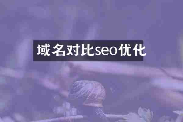 域名对比seo优化
