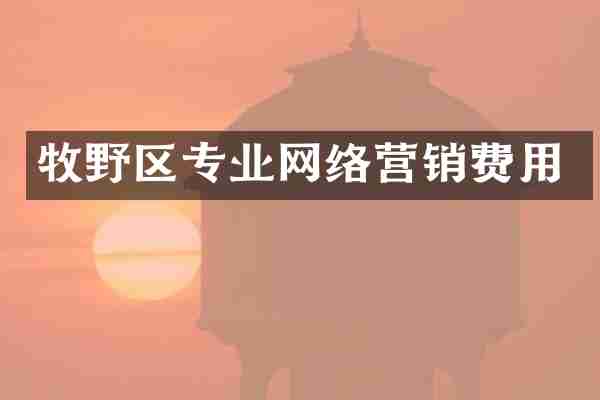 牧野区专业网络营销费用