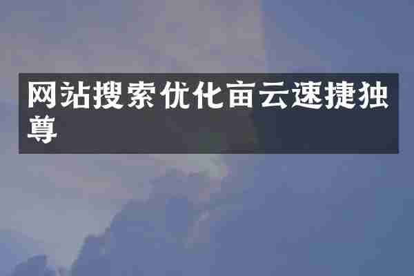 网站搜索优化亩云速捷独尊