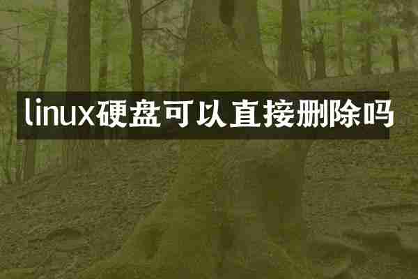 linux硬盘可以直接删除吗