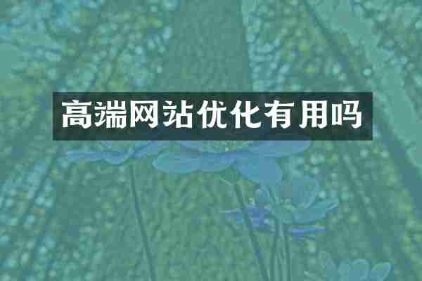 高端网站优化有用吗