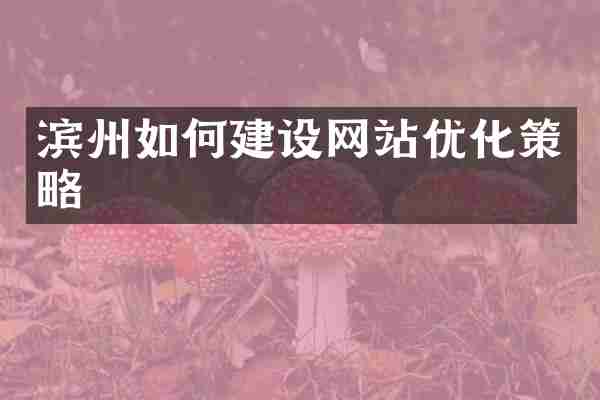 滨州如何建设网站优化策略