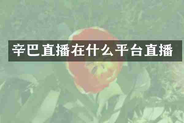 辛巴直播在什么平台直播