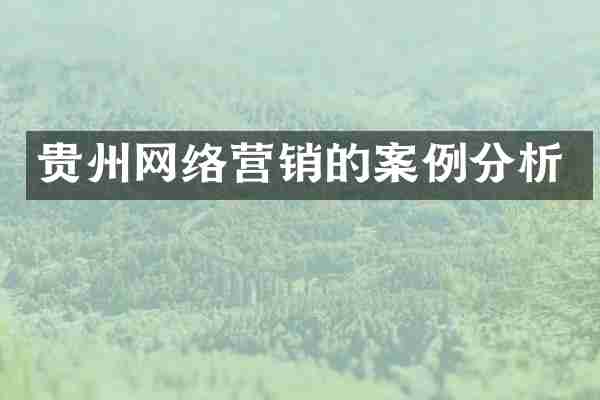 贵州网络营销的案例分析