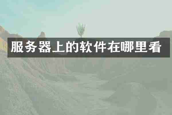 服务器上的软件在哪里看