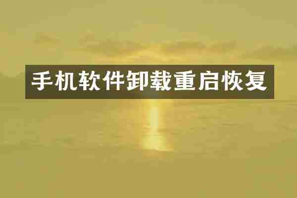 手机软件卸载重启恢复