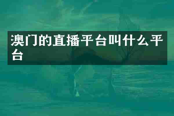 澳门的直播平台叫什么平台