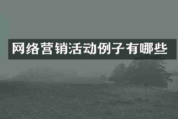 网络营销活动例子有哪些