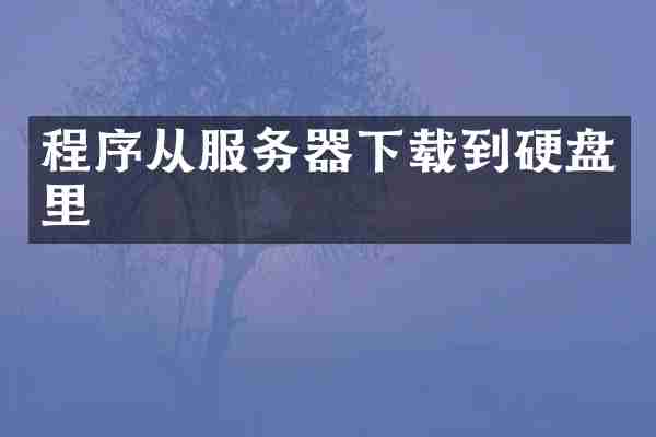 程序从服务器下载到硬盘里
