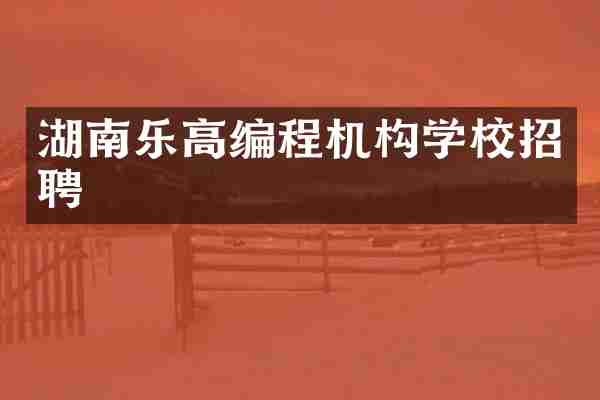 湖南乐高编程机构学校招聘