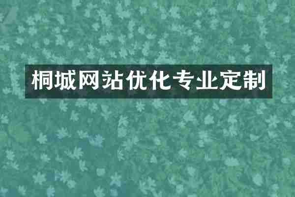 桐城网站优化专业定制