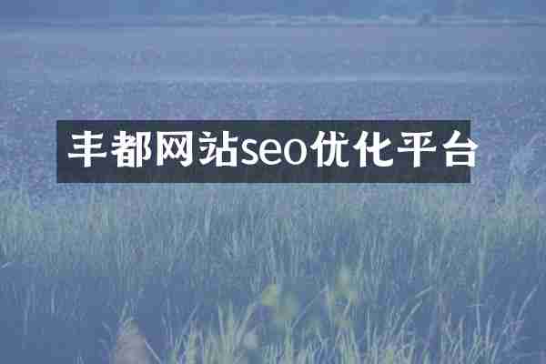丰都网站seo优化平台