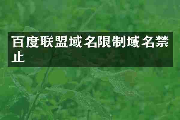 百度联盟域名限制域名禁止