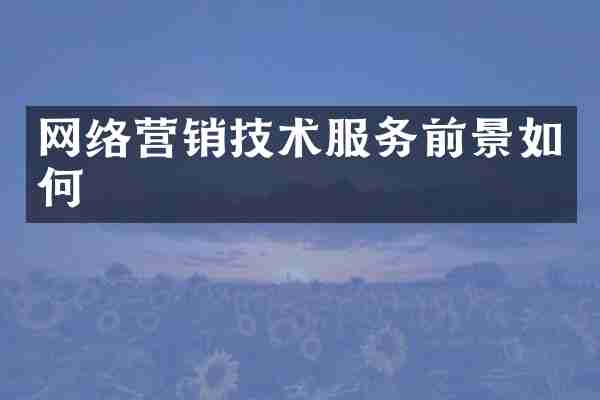 网络营销技术服务前景如何