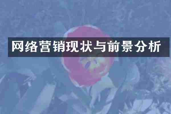 网络营销现状与前景分析