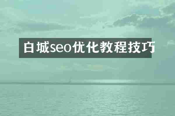 白城seo优化教程技巧