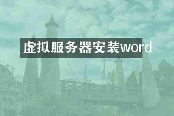 虚拟服务器安装word