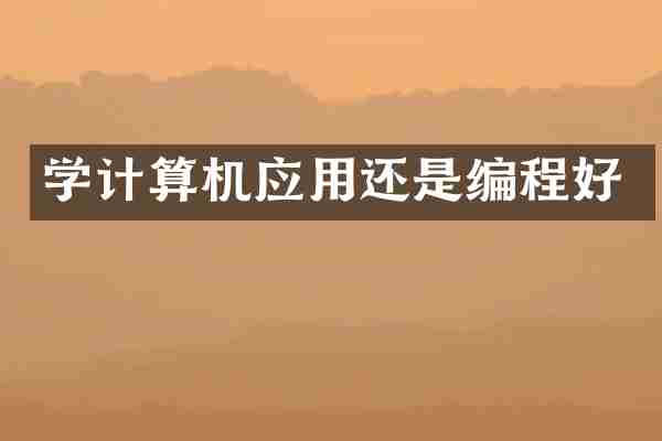 学计算机应用还是编程好