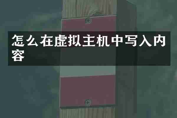 怎么在虚拟主机中写入内容