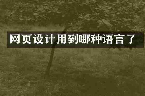 网页设计用到哪种语言了