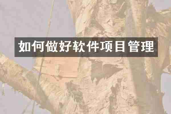 如何做好软件项目管理