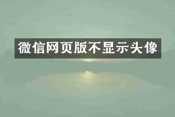 微信网页版不显示头像