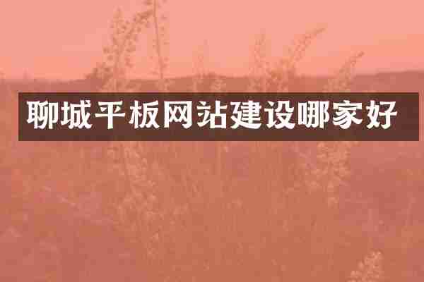 聊城平板网站建设哪家好