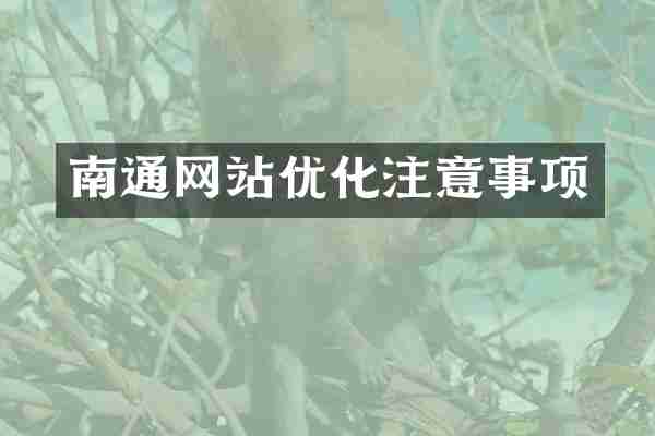 南通网站优化注意事项