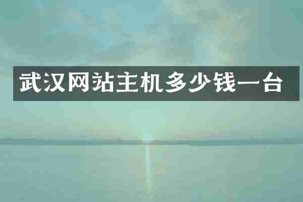 武汉网站主机多少钱一台
