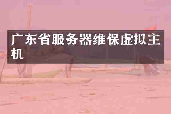广东省服务器维保虚拟主机
