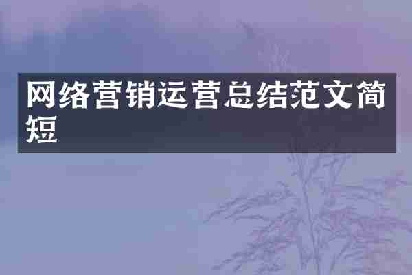 网络营销运营总结范文简短
