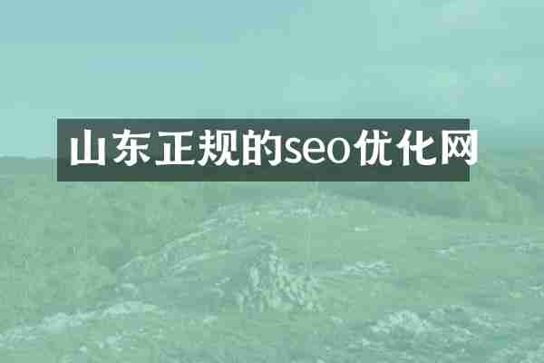 山东正规的seo优化网
