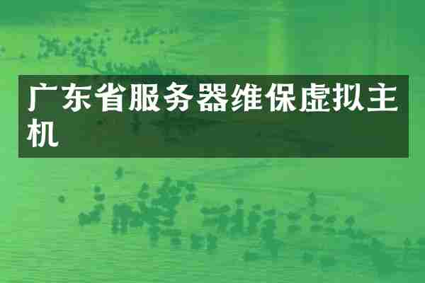 广东省服务器维保虚拟主机