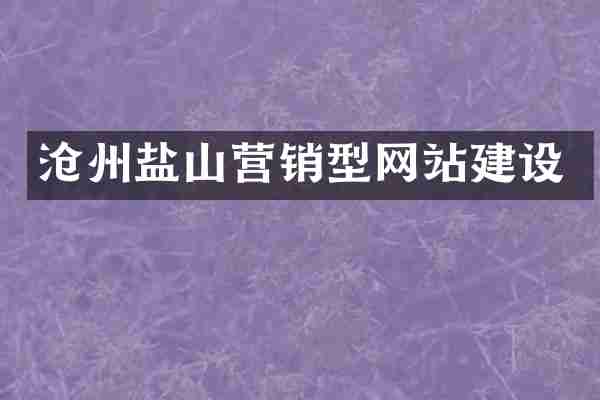 沧州盐山营销型网站建设