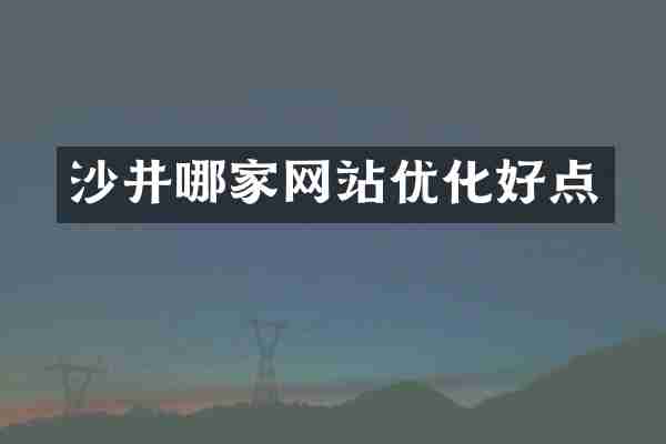 沙井哪家网站优化好点